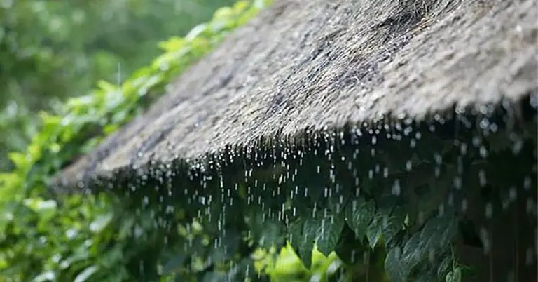 বাড়ির চালে বৃষ্টির ছবি